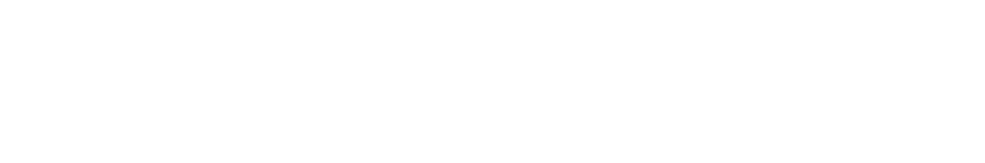 Autos Vega Group
